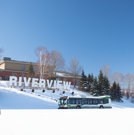 Codiac Transpo : Quoi de neuf?
