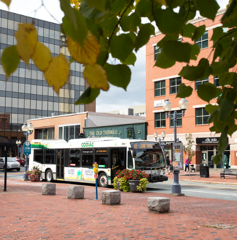 Service Level Increase on Nov. 19