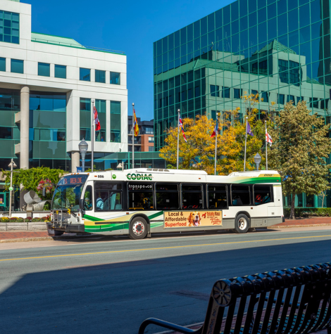 Touche-Tout printanier